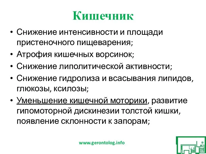 Кишечник Снижение интенсивности и площади пристеночного пищеварения; Атрофия кишечных ворсинок; Снижение липолитической