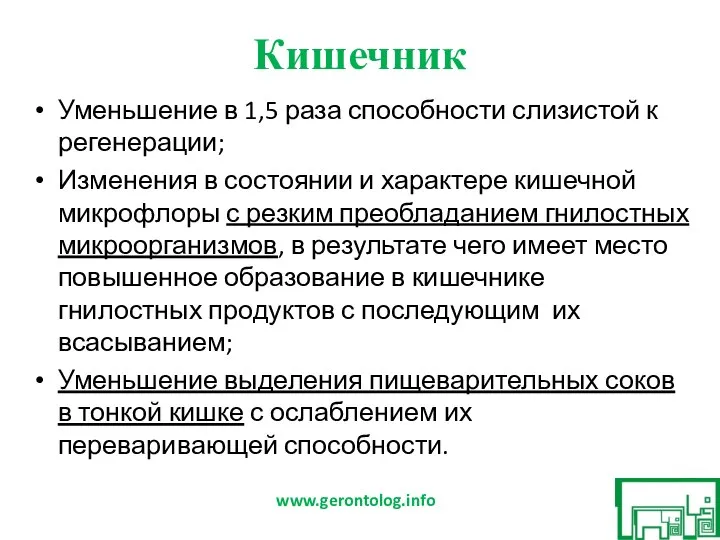 Кишечник Уменьшение в 1,5 раза способности слизистой к регенерации; Изменения в состоянии