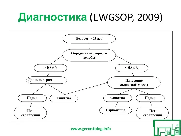 Диагностика (EWGSOP, 2009) www.gerontolog.info