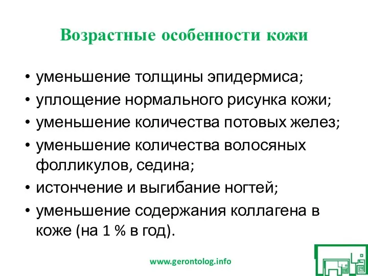 Возрастные особенности кожи уменьшение толщины эпидермиса; уплощение нормального рисунка кожи; уменьшение количества