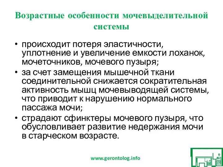 Возрастные особенности мочевыделительной системы происходит потеря эластичности, уплотнение и увеличение емкости лоханок,