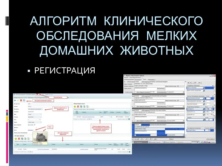 АЛГОРИТМ КЛИНИЧЕСКОГО ОБСЛЕДОВАНИЯ МЕЛКИХ ДОМАШНИХ ЖИВОТНЫХ РЕГИСТРАЦИЯ