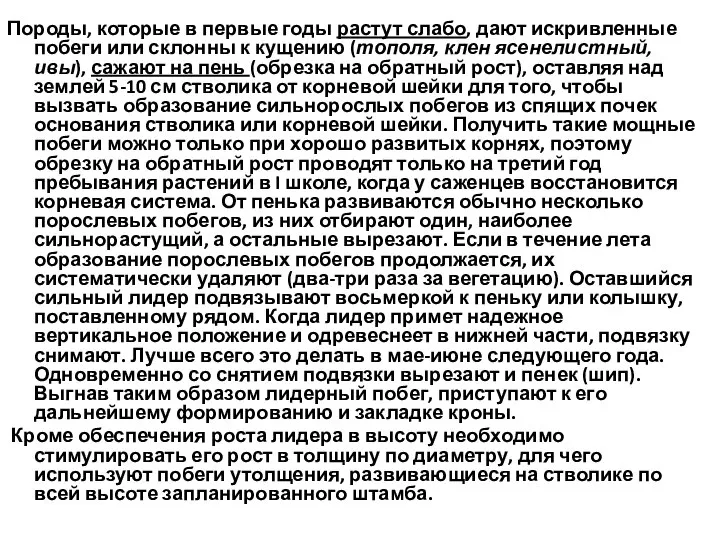 Породы, которые в первые годы растут слабо, дают искривленные побеги или склонны