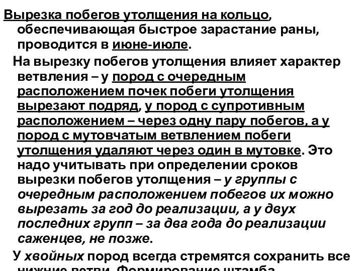 Вырезка побегов утолщения на кольцо, обеспечивающая быстрое зарастание раны, проводится в июне-июле.