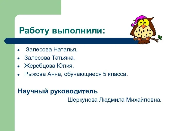 Работу выполнили: Залесова Наталья, Залесова Татьяна, Жеребцова Юлия, Рыжова Анна, обучающиеся 5