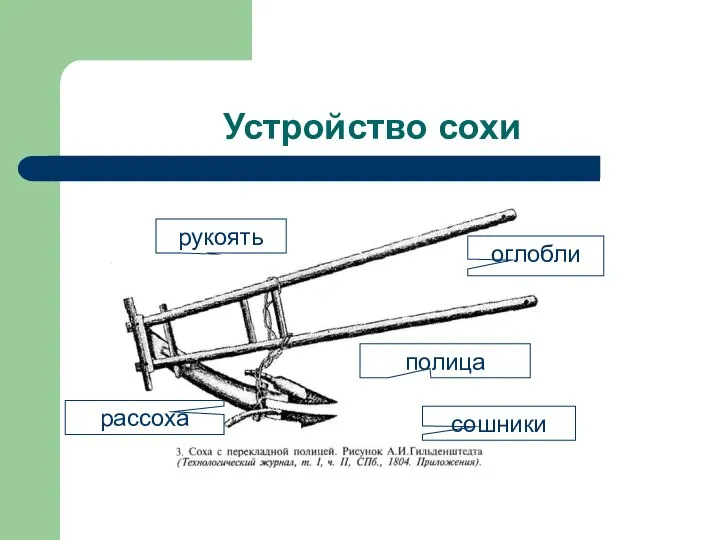 Устройство сохи рукоять рассоха полица сошники оглобли