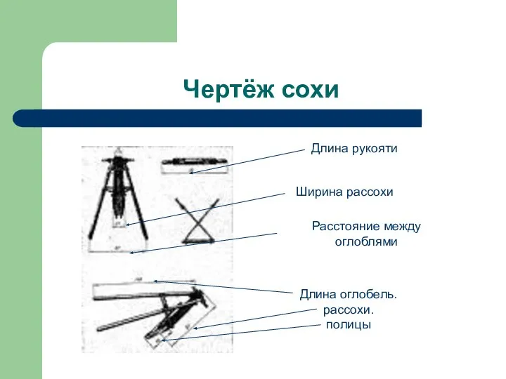 Чертёж сохи Длина рукояти Расстояние между оглоблями Длина оглобель. рассохи. полицы Ширина рассохи