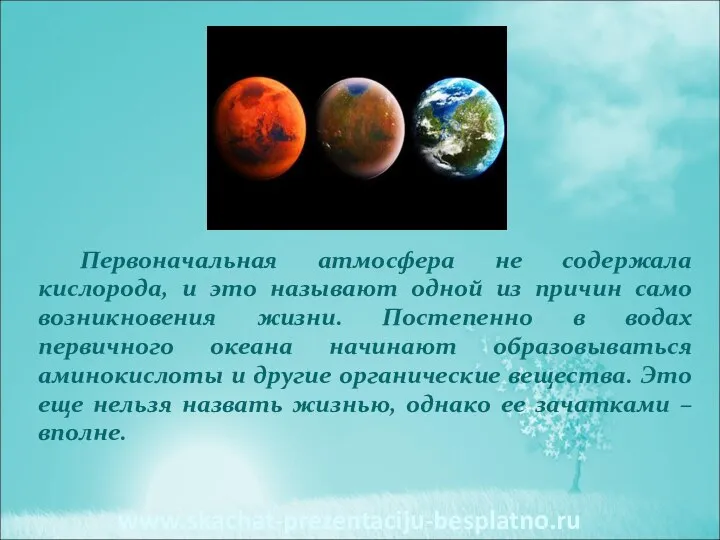 Первоначальная атмосфера не содержала кислорода, и это называют одной из причин само