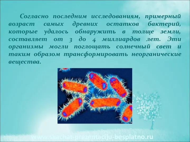 Согласно последним исследованиям, примерный возраст самых древних остатков бактерий, которые удалось обнаружить