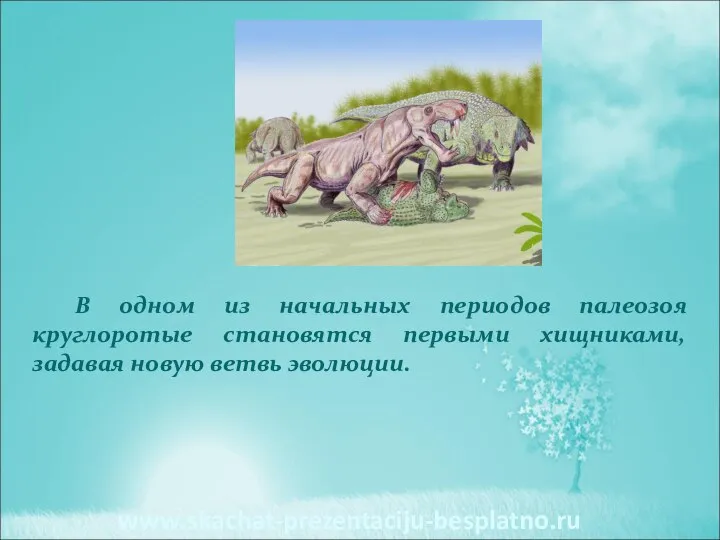 В одном из начальных периодов палеозоя круглоротые становятся первыми хищниками, задавая новую ветвь эволюции. www.skachat-prezentaciju-besplatno.ru