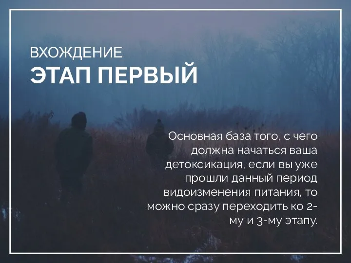 ВХОЖДЕНИЕ ЭТАП ПЕРВЫЙ Основная база того, с чего должна начаться ваша детоксикация,