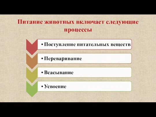 Питание животных включает следующие процессы