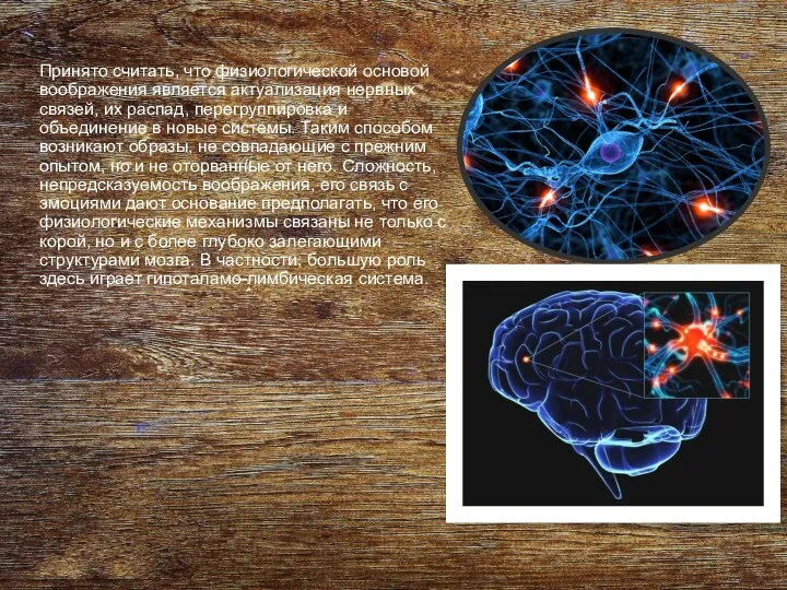 Принято считать, что физиологической основой воображения является актуализация нервных связей, их распад,
