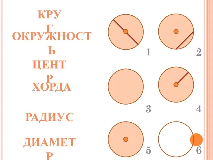 КРУГ ОКРУЖНОСТЬ ЦЕНТР ХОРДА РАДИУС ДИАМЕТР