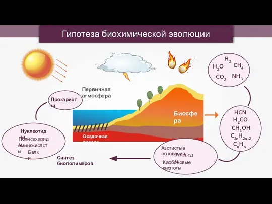 Гипотеза биохимической эволюции H2 H2O CH4 CO2 NH3 H2CO HCN CH3OH C2nH2n+2