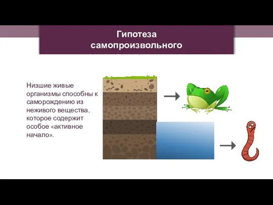 Гипотеза самопроизвольного зарождения жизни на Земле Низшие живые организмы способны к саморождению