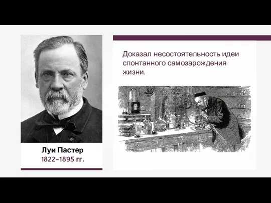 Луи Пастер 1822–1895 гг. Доказал несостоятельность идеи спонтанного самозарождения жизни.