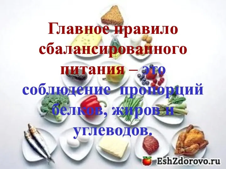 Главное правило сбалансированного питания – это соблюдение пропорций белков, жиров и углеводов.