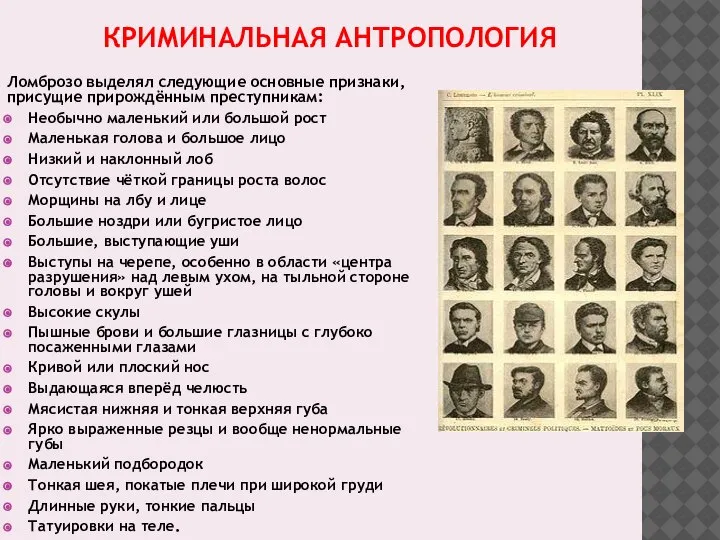 КРИМИНАЛЬНАЯ АНТРОПОЛОГИЯ Ломброзо выделял следующие основные признаки, присущие прирождённым преступникам: Необычно маленький