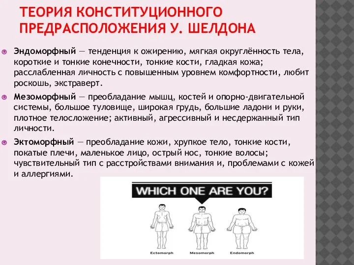 ТЕОРИЯ КОНСТИТУЦИОННОГО ПРЕДРАСПОЛОЖЕНИЯ У. ШЕЛДОНА Эндоморфный — тенденция к ожирению, мягкая округлённость