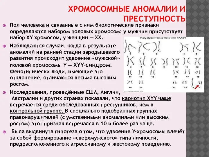 ХРОМОСОМНЫЕ АНОМАЛИИ И ПРЕСТУПНОСТЬ Пол человека и связанные с ним биологические признаки