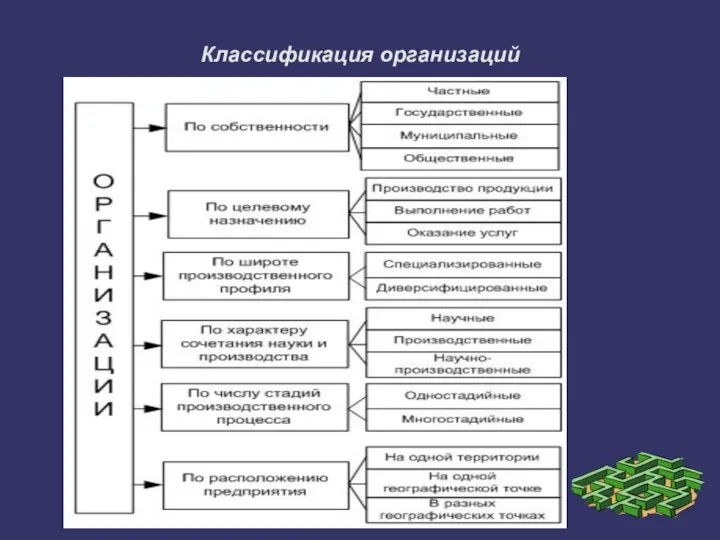 Классификация организаций