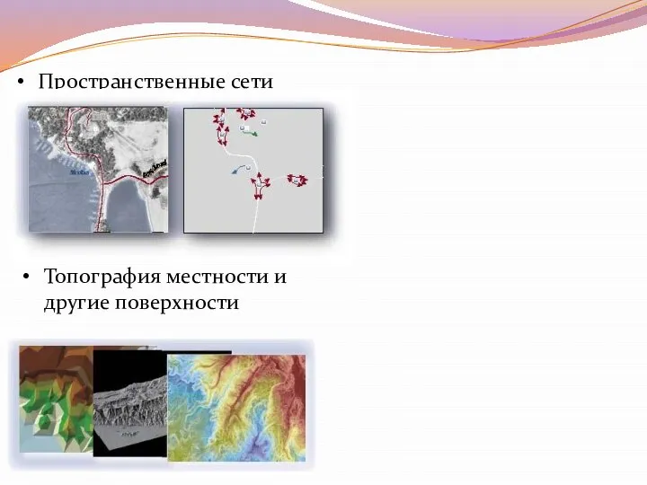 Пространственные сети Топография местности и другие поверхности