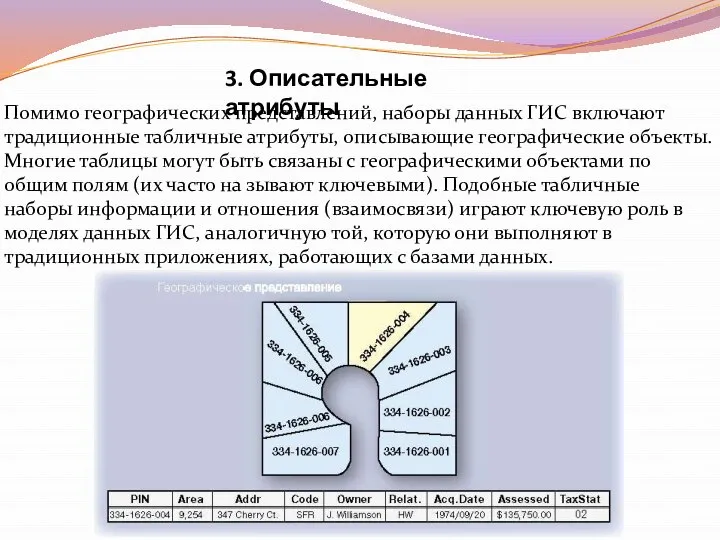 3. Описательные атрибуты Помимо географических представлений, наборы данных ГИС включают традиционные табличные