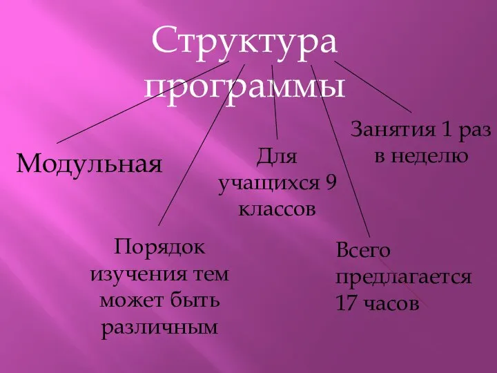 Структура программы Модульная Порядок изучения тем может быть различным Всего предлагается 17