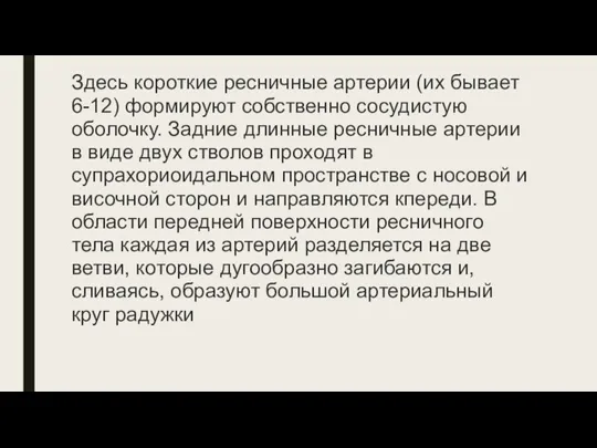 Здесь короткие ресничные артерии (их бывает 6-12) формируют собственно сосудистую оболочку. Задние