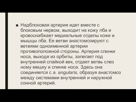 Надблоковая артерия идет вместе с блоковым нервом, выходит на кожу лба и