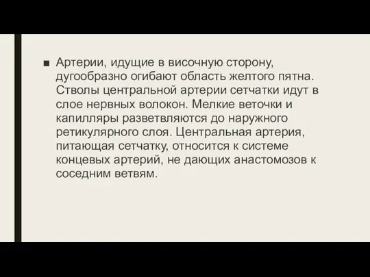 Артерии, идущие в височную сторону, дугообразно огибают область желтого пятна. Стволы центральной