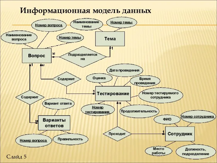 Информационная модель данных Слайд 5