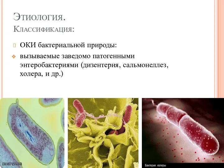 Этиология. Классификация: ОКИ бактериальной природы: вызываемые заведомо патогенными энтеробактериями (дизентерия, сальмонеллез, холера, и др.) шигелла
