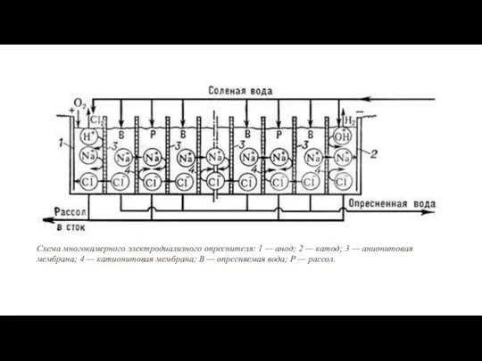 Схема многокамерного электродиализного опреснителя: 1 — анод; 2 — катод; 3 —