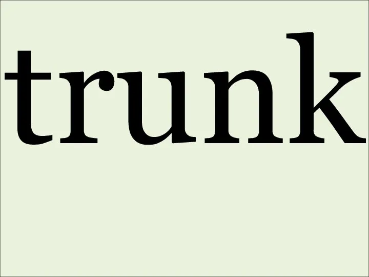 trunk