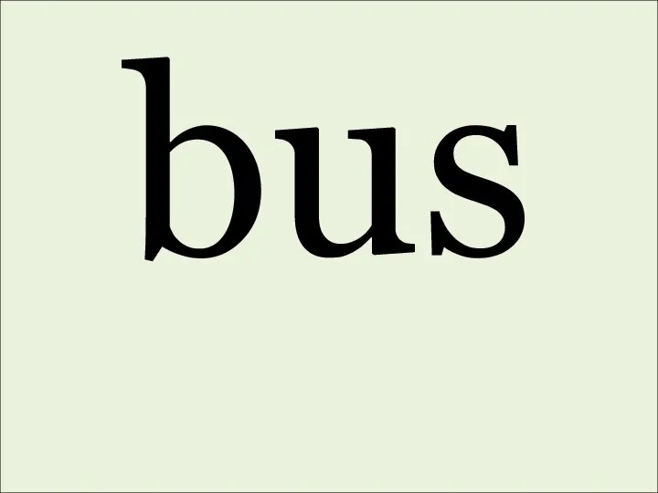 bus