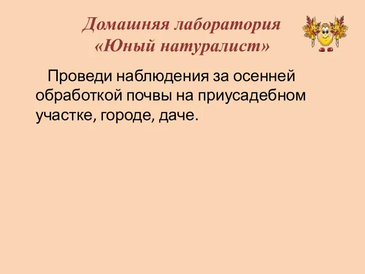 Домашняя лаборатория «Юный натуралист» Проведи наблюдения за осенней обработкой почвы на приусадебном участке, городе, даче.