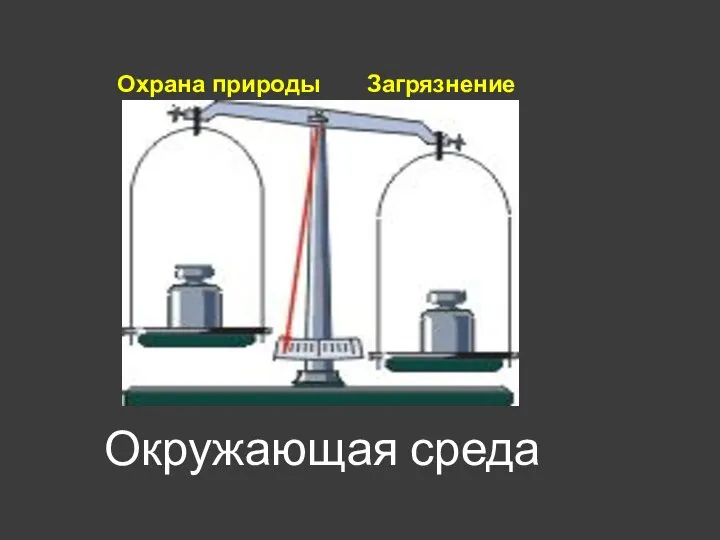 Окружающая среда Охрана природы Загрязнение