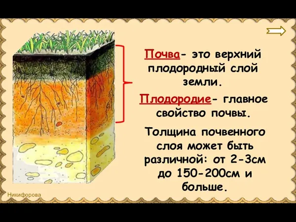 Почва- это верхний плодородный слой земли. Плодородие- главное свойство почвы. Толщина почвенного