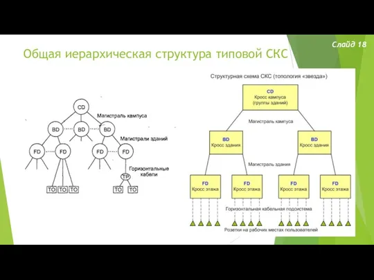 Общая иерархическая структура типовой СКС Слайд 18