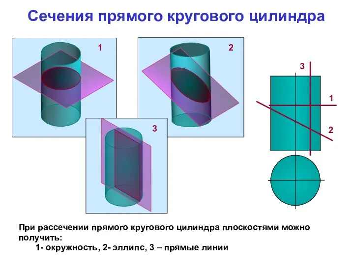 При рассечении прямого кругового цилиндра плоскостями можно получить: 1- окружность, 2- эллипс,