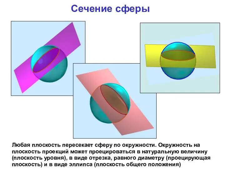 Сечение сферы Любая плоскость пересекает сферу по окружности. Окружность на плоскость проекций