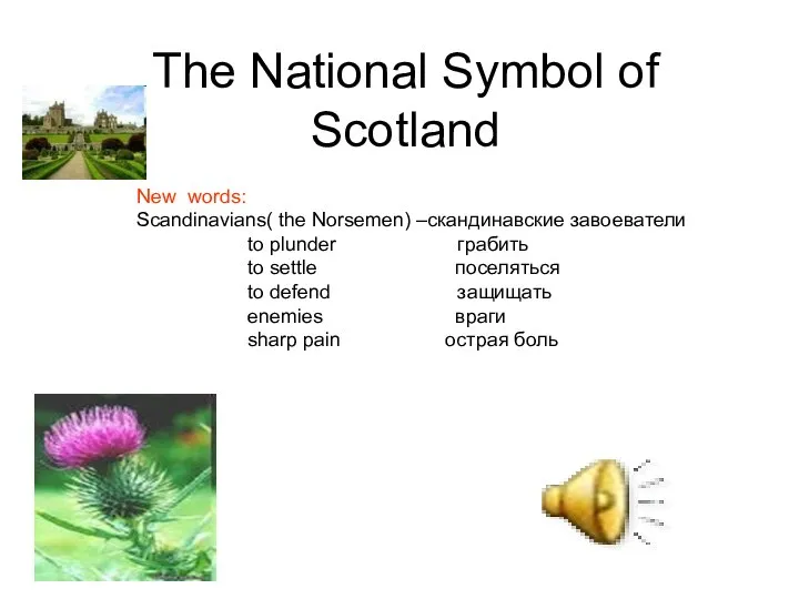 The National Symbol of Scotland New words: Scandinavians( the Norsemen) –скандинавские завоеватели