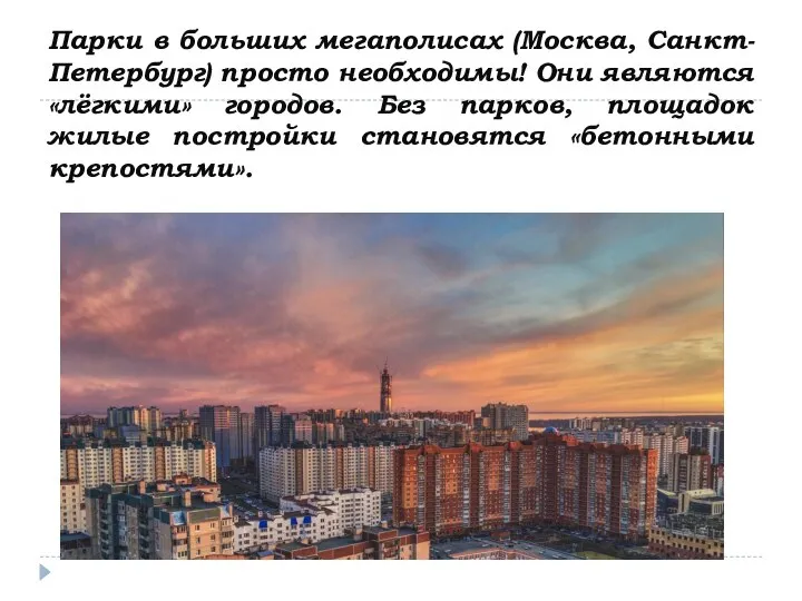 Парки в больших мегаполисах (Москва, Санкт-Петербург) просто необходимы! Они являются «лёгкими» городов.