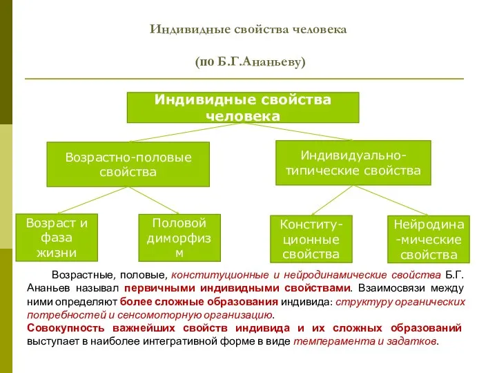 Индивидные свойства человека (по Б.Г.Ананьеву) Индивидные свойства человека Возрастно-половые свойства Индивидуально-типические свойства