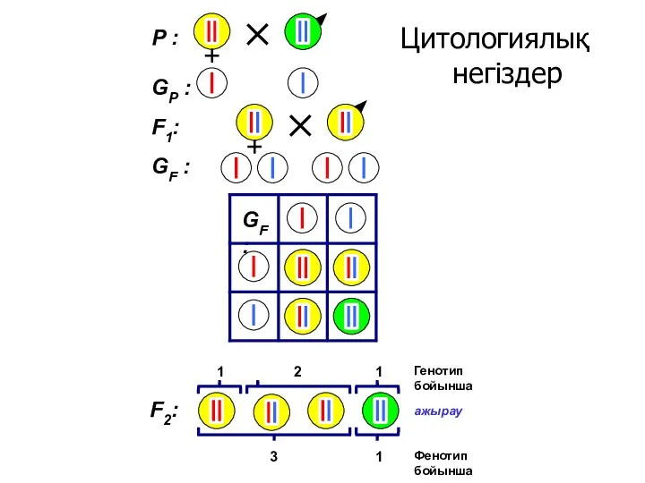 Цитологиялық негіздер