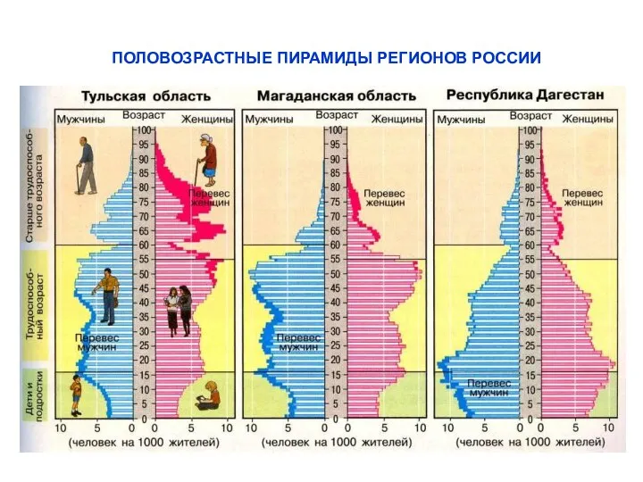 ПОЛОВОЗРАСТНЫЕ ПИРАМИДЫ РЕГИОНОВ РОССИИ