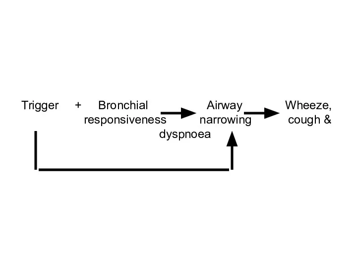 Trigger + Bronchial Airway Wheeze, responsiveness narrowing cough & dyspnoea