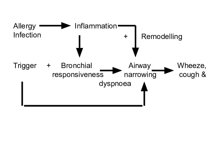 Trigger + Bronchial Airway Wheeze, responsiveness narrowing cough & dyspnoea Allergy Inflammation Infection + Remodelling